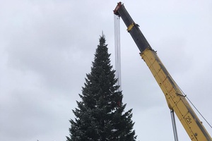 Новогоднюю ель установили на Центральной площади города