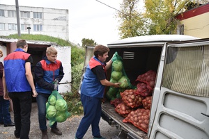 В Белове началась выдача овощных наборов