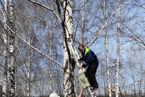 Лучший скворечник-2024