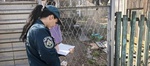 За разведение огня — штраф!