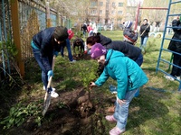 Экологическая акция «Всероссийский день посадки леса»