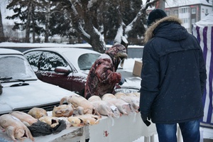 В Белове прошла сельскохозяйственная ярмарка