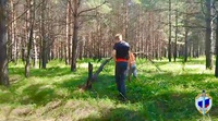 В Белове полицейские привлекли к ответственности подростков, которые размещали в соцсети видео с нецензурной бранью