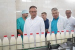 Свое, кузбасское