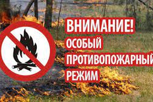 С сегодняшнего дня в Кузбассе начинает действовать особый противопожарный режим.