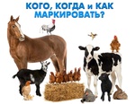 Для учета поголовья