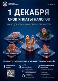1 декабря — крайний срок уплаты имущественных налогов