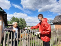 Можно проголосовать по месту нахождения