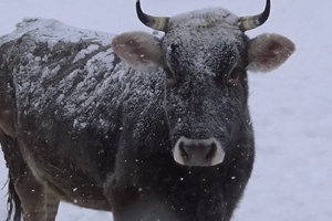 Профилактика - лучший способ предупредить опасные заболевания