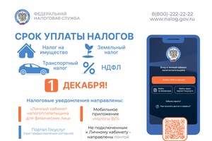 Осень - время платить налоги