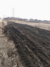 Полосы безопасности