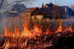 О вреде от выжигания сухой травы