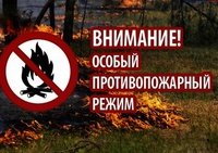 С 15 апреля в Кузбассе вводится особый противопожарный режим.