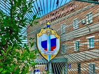 В Белове сотрудники полиции привлекли к ответственности местную жительницу, дети которой кидали камни в прохожих