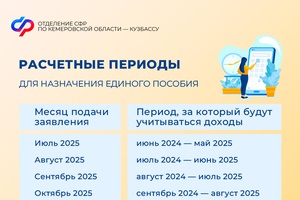 За какой период рассчитывается доход семьи при назначении единого пособия?