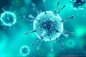 Правительство Кузбасса принимает меры для защиты региона от коронавируса