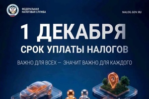 1 декабря — крайний срок уплаты имущественных налогов