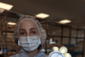 Биопротезы клапанов сердца и не только