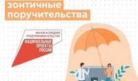 МСП привлекут около 120 млрд рублей под «зонтичные» поручительства во II квартале 2024 года