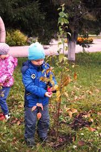 «19 мая 2019 года - Всероссийский день посадки леса»