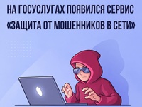 "Защита от мошенников  в сети"