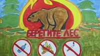 Школьники Кузбасса могут принять участие в областном конкурсе «Сохраним леса от пожаров!»