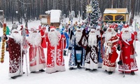 Беловский Дед Мороз вышел в финал областного конкурса