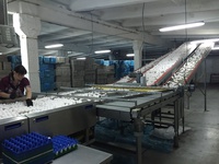 КуZбасс лидирует по производству куриного яйца в Сибири