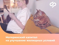 Программа материнского капитала продолжается до 2030 года в рамках нацпроекта «Семья»