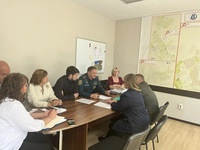 Горячая зола - причина пожара!