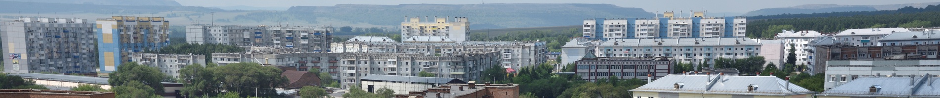 Муниципальный лесной контроль на территории "Беловского городского округа"