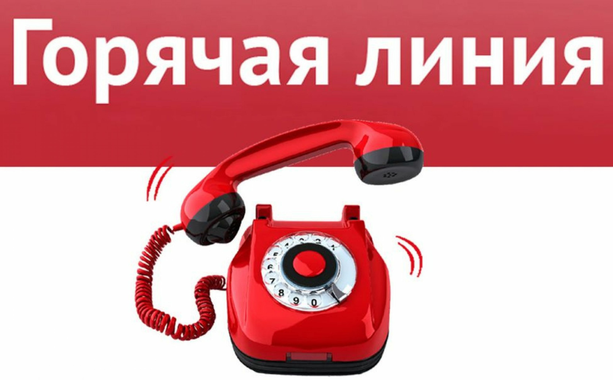 Горячая линия