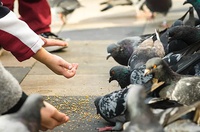 Прокуратура разъясняет