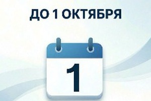 Услугами или деньгами?