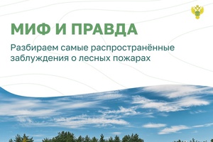 Мифы и правда о лесных пожарах