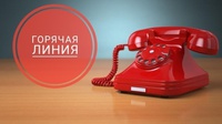 В Белове работает «Горячая линия»