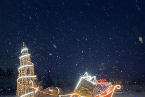 Поздравляем и благодарим за зимнюю сказку!