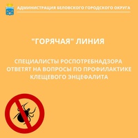 Профилактика клещевого вирусного энцефалита