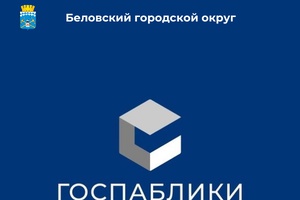 Что такое госпаблики и для чего они нужны?