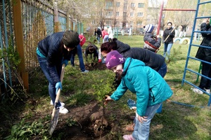 Экологическая акция «Всероссийский день посадки леса»