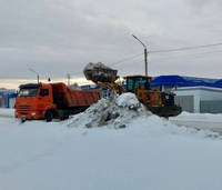 Снег не уходит на каникулы