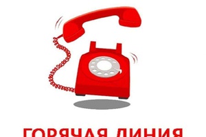 "Горячая" линия по школьному питанию