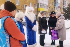 Операция "Каникулы" или Новый год по правилам