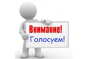 Новогородцам предстоит сделать выбор