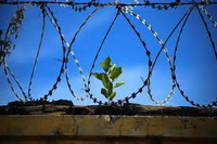 В Кузбассе бывшим заключенным оказывается материальная, социальная и иная помощь