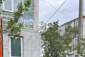 Беловчанка посадила у себя на участке украденные туи