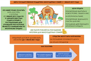 450 т.р. на погашение ипотеки для многодетных семей