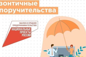 МСП привлекут около 120 млрд рублей под «зонтичные» поручительства во II квартале 2024 года