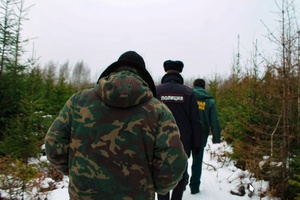 В целях предотвращения браконьерской заготовки новогодних елей и охраны хвойных молодняков в предновогодний период в Кузбассе с 17.11.2025 проводится профилактическая операция «Ель»