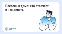 «Госуслуги Дом» решает проблемы
